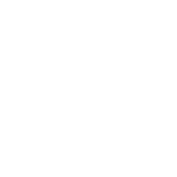 Non Profit