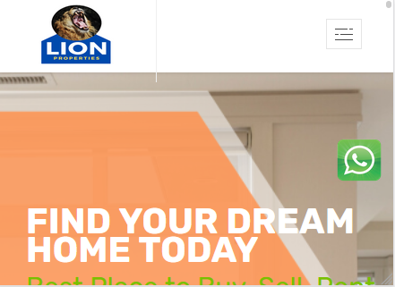 Lion Properties Website
